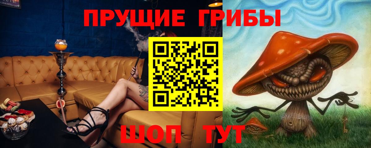 Псилоцибиновые грибы Psilocybe  Вход с VPN  Удомля 
